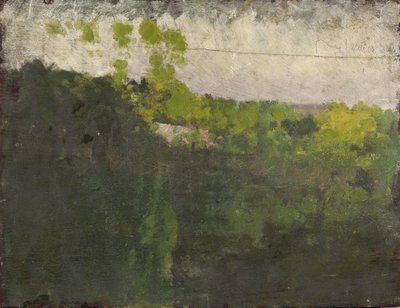 Lo stagno nel Bois de Boulogne da Giuseppe de Nittis